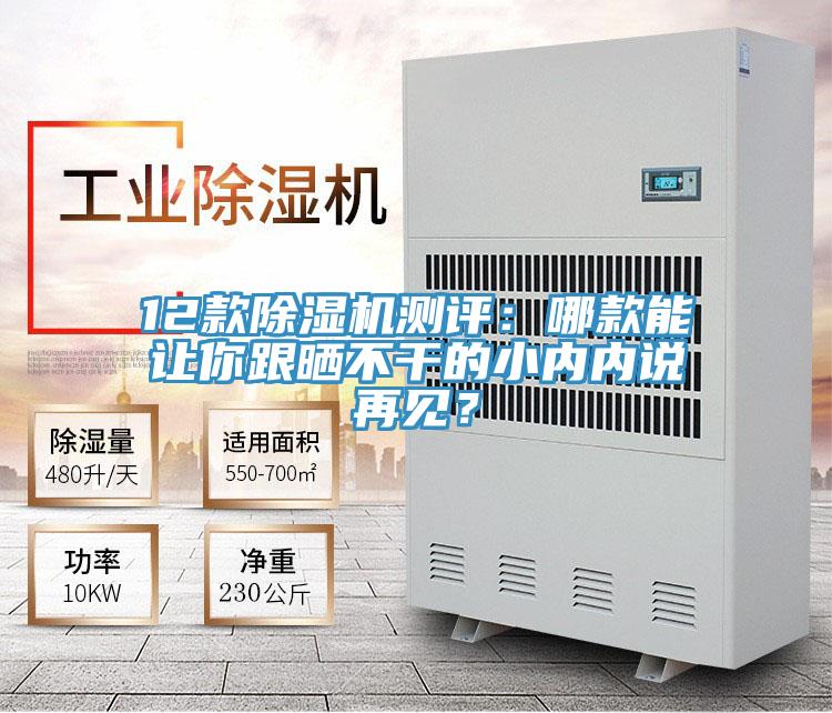 12款除濕機(jī)測(cè)評(píng)：哪款能讓你跟曬不干的小內(nèi)內(nèi)說再見？