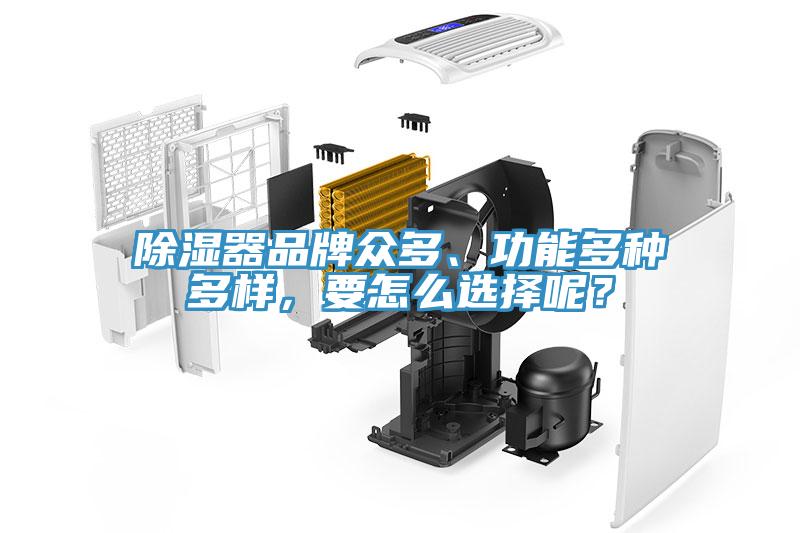 除濕器品牌眾多、功能多種多樣，要怎么選擇呢？