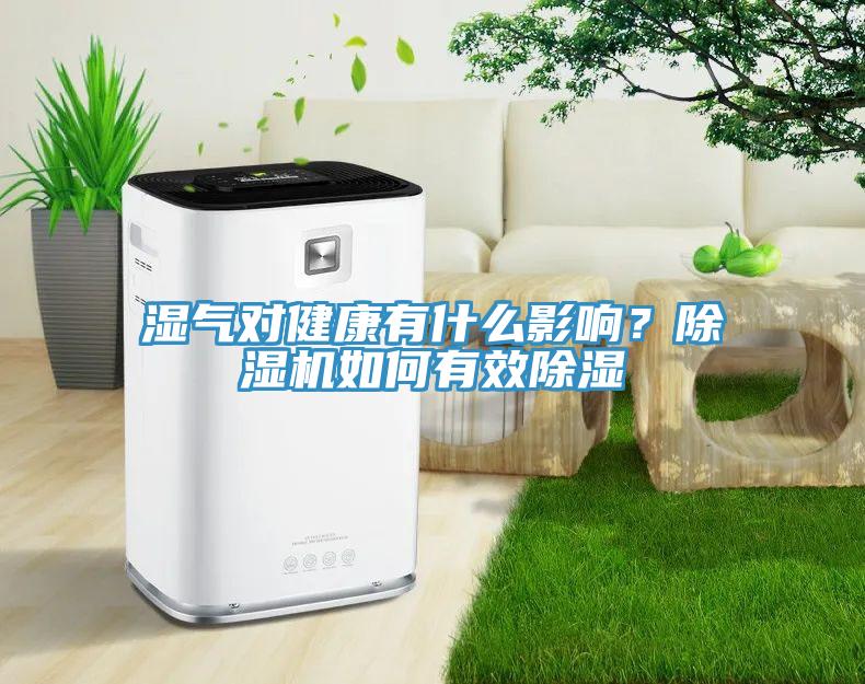 濕氣對健康有什么影響？除濕機如何有效除濕