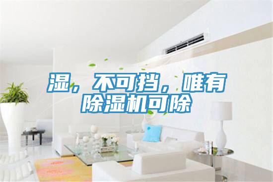 濕，不可擋，唯有除濕機(jī)可除