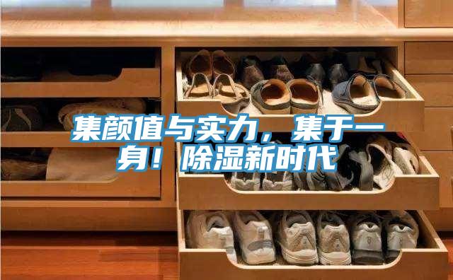 集顏值與實(shí)力，集于一身！除濕新時(shí)代