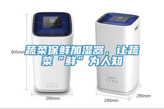 蔬菜保鮮加濕器，讓蔬菜“鮮”為人知