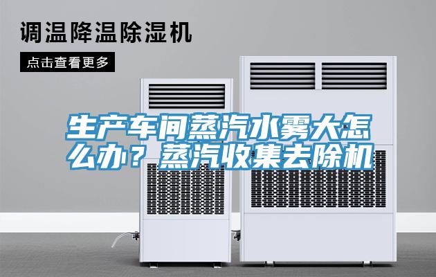 生產(chǎn)車間蒸汽水霧大怎么辦？蒸汽收集去除機(jī)