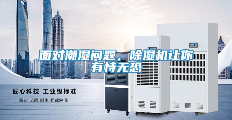 面對潮濕問題，除濕機讓你有恃無恐