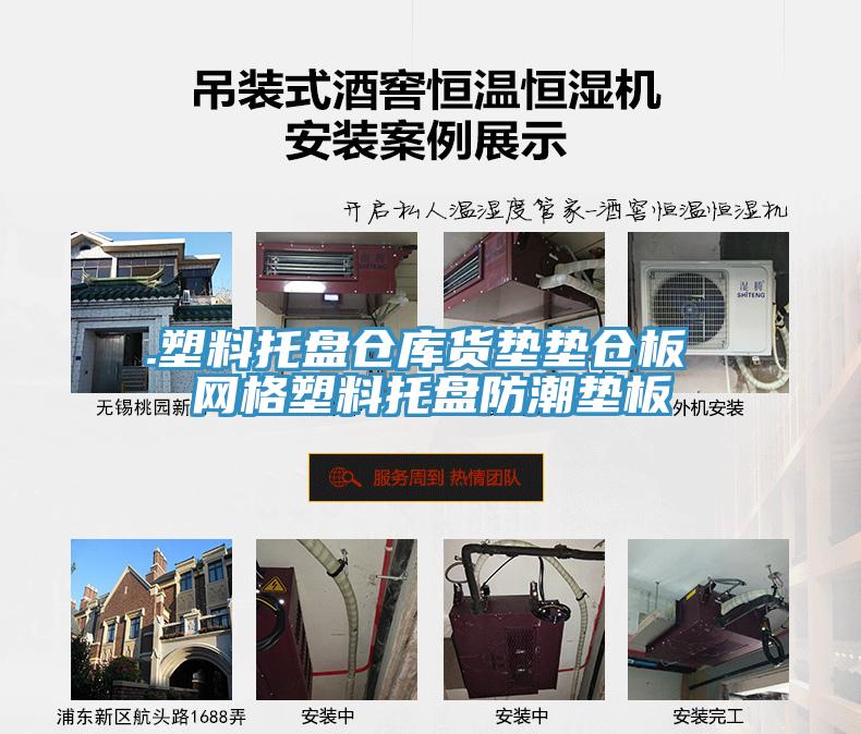 .塑料托盤倉(cāng)庫(kù)貨墊墊倉(cāng)板 網(wǎng)格塑料托盤防潮墊板