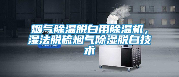 煙氣除濕脫白用除濕機(jī)，濕法脫硫煙氣除濕脫白技術(shù)
