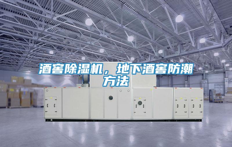 酒窖除濕機(jī)，地下酒窖防潮方法