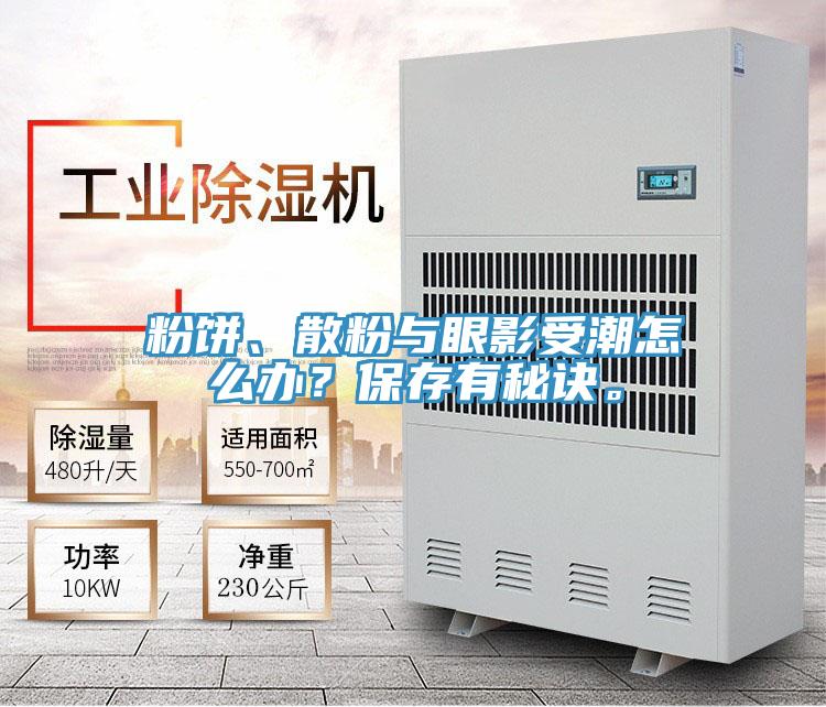 粉餅、散粉與眼影受潮怎么辦？保存有秘訣。