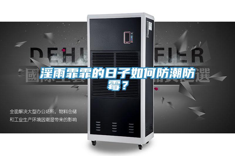 淫雨霏霏的日子如何防潮防霉？