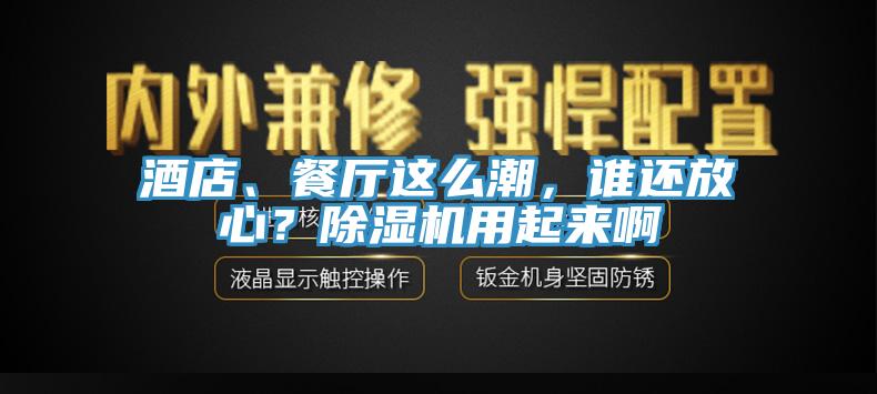 酒店、餐廳這么潮，誰(shuí)還放心？除濕機(jī)用起來(lái)啊