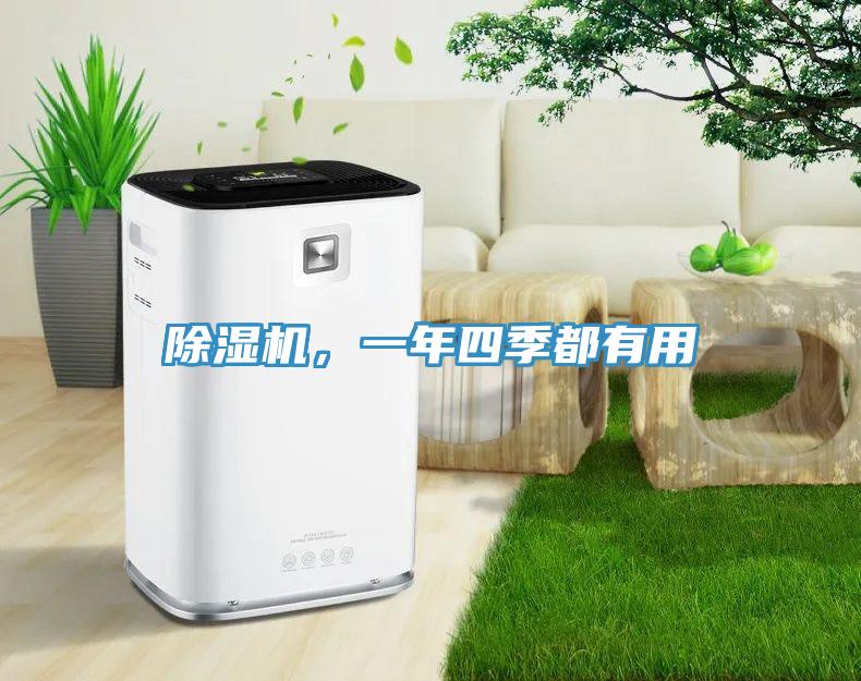 除濕機，一年四季都有用