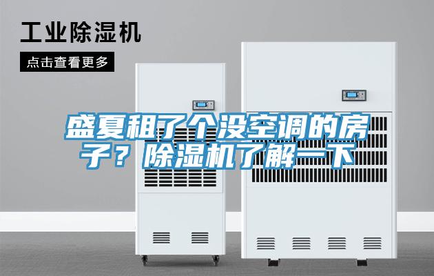 盛夏租了個沒空調(diào)的房子？除濕機(jī)了解一下