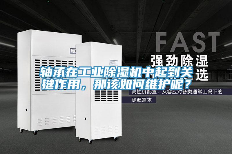 軸承在工業(yè)除濕機(jī)中起到關(guān)鍵作用，那該如何維護(hù)呢？