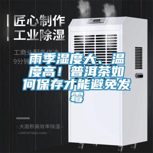 雨季濕度大、溫度高！普洱茶如何保存才能避免發(fā)霉