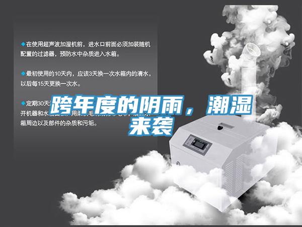 跨年度的陰雨，潮濕來襲
