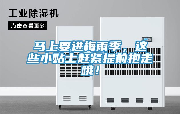 馬上要進梅雨季，這些小貼士趕緊提前抱走哦！