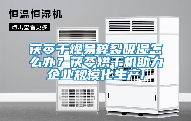 茯苓干燥易碎裂吸濕怎么辦？茯苓烘干機助力企業(yè)規(guī)?；a(chǎn)!