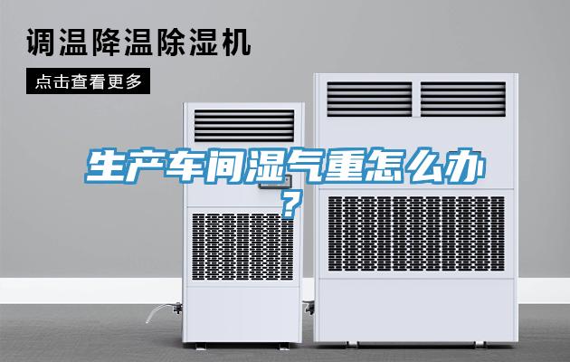 生產(chǎn)車間濕氣重怎么辦？