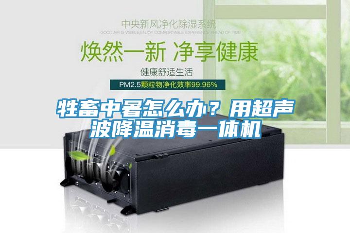 牲畜中暑怎么辦？用超聲波降溫消毒一體機