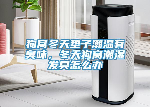 狗窩冬天墊子潮濕有臭味，冬天狗窩潮濕發(fā)臭怎么辦
