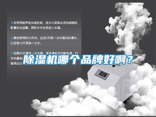除濕機(jī)哪個(gè)品牌好啊？