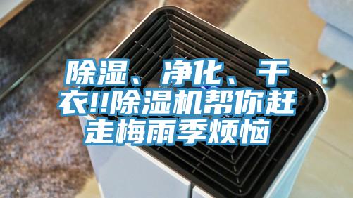 除濕、凈化、干衣!!除濕機(jī)幫你趕走梅雨季煩惱