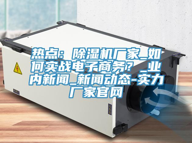 熱點(diǎn)：除濕機(jī)廠家_如何實(shí)戰(zhàn)電子商務(wù)？_業(yè)內(nèi)新聞_新聞動態(tài)-實(shí)力廠家官網(wǎng)