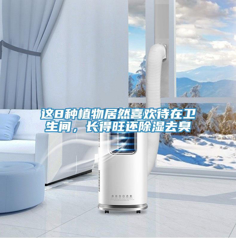 這8種植物居然喜歡待在衛(wèi)生間，長(zhǎng)得旺還除濕去臭