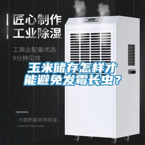 玉米儲存怎樣才能避免發(fā)霉長蟲？