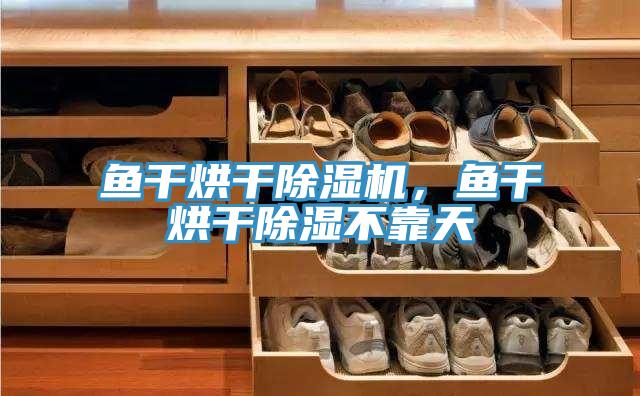 魚(yú)干烘干除濕機(jī)，魚(yú)干烘干除濕不靠天