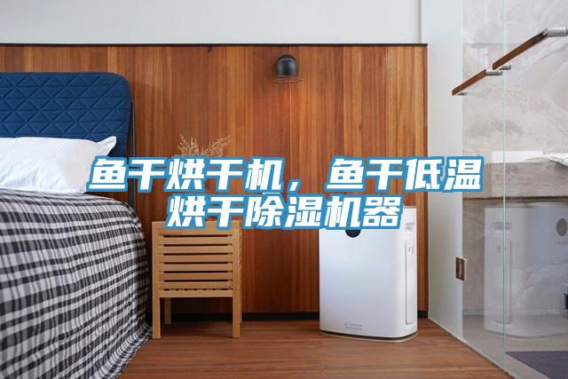 魚(yú)干烘干機(jī)，魚(yú)干低溫烘干除濕機(jī)器