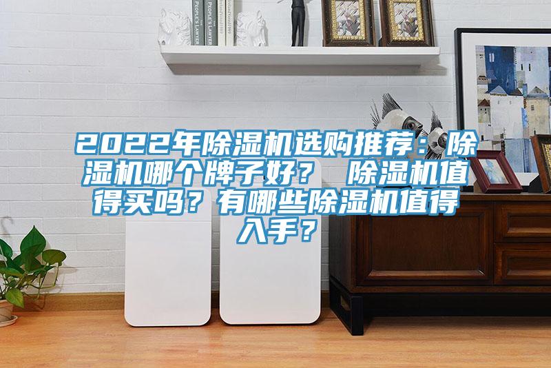 2022年除濕機(jī)選購(gòu)?fù)扑]：除濕機(jī)哪個(gè)牌子好？ 除濕機(jī)值得買(mǎi)嗎？有哪些除濕機(jī)值得入手？