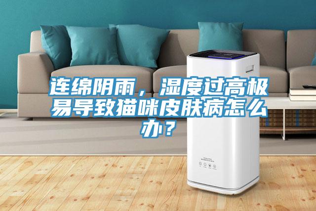 連綿陰雨，濕度過高極易導致貓咪皮膚病怎么辦？