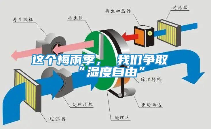 這個(gè)梅雨季， 我們爭(zhēng)取“濕度自由”