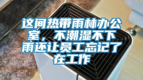 這間熱帶雨林辦公室，不潮濕不下雨還讓員工忘記了在工作