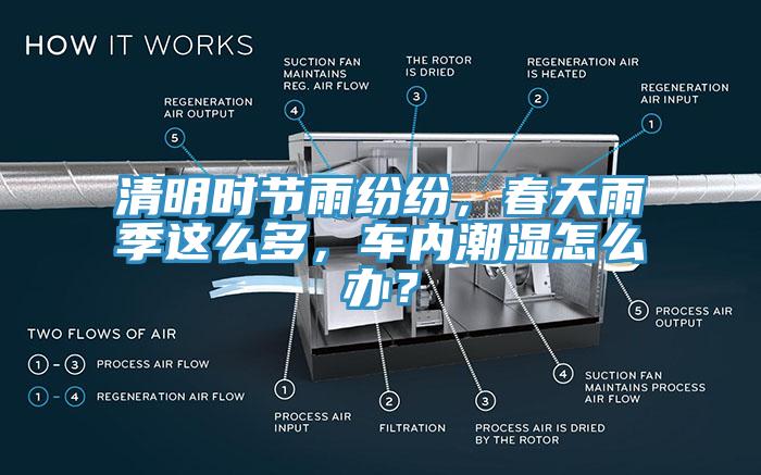 清明時(shí)節(jié)雨紛紛，春天雨季這么多，車內(nèi)潮濕怎么辦？