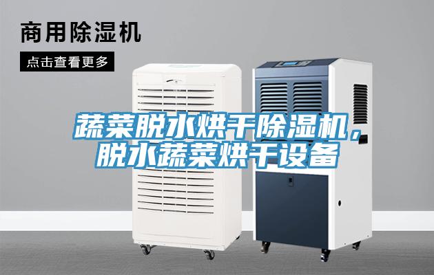 蔬菜脫水烘干除濕機(jī)，脫水蔬菜烘干設(shè)備