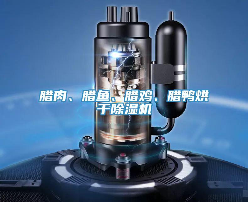 臘肉、臘魚(yú)、臘雞、臘鴨烘干除濕機(jī)