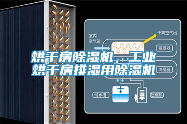 烘干房除濕機，工業(yè)烘干房排濕用除濕機