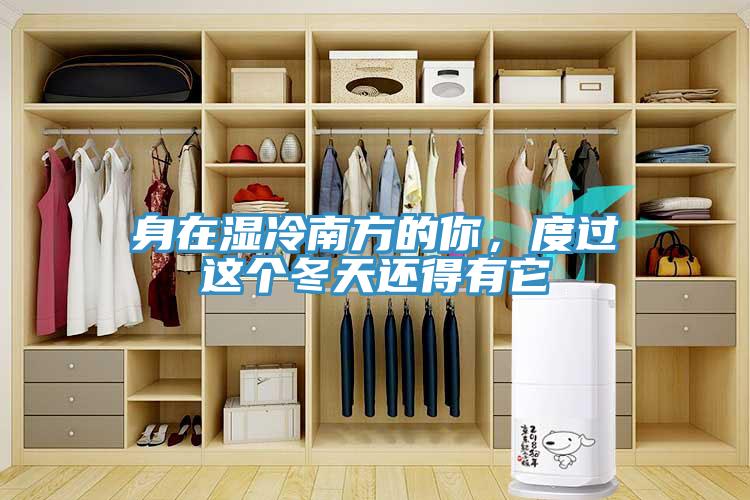 身在濕冷南方的你，度過(guò)這個(gè)冬天還得有它