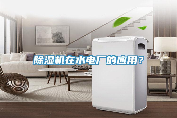 除濕機(jī)在水電廠的應(yīng)用？