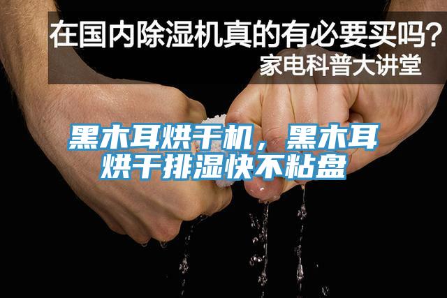 黑木耳烘干機(jī)，黑木耳烘干排濕快不粘盤