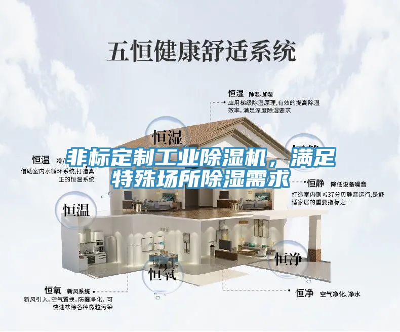 非標(biāo)定制工業(yè)除濕機(jī)，滿(mǎn)足特殊場(chǎng)所除濕需求