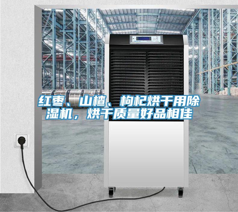 紅棗、山楂、枸杞烘干用除濕機，烘干質(zhì)量好品相佳