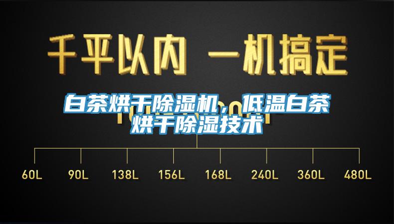 白茶烘干除濕機(jī)，低溫白茶烘干除濕技術(shù)