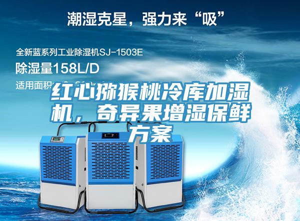 紅心獼猴桃冷庫加濕機(jī)，奇異果增濕保鮮方案