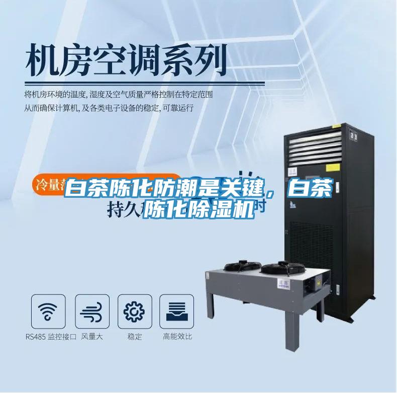 白茶陳化防潮是關鍵，白茶陳化除濕機