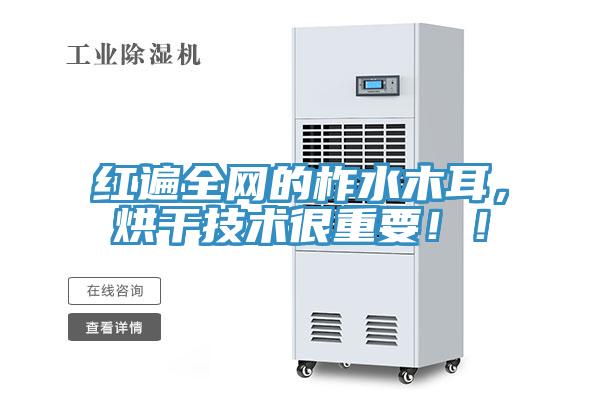 紅遍全網(wǎng)的柞水木耳，烘干技術很重要??！
