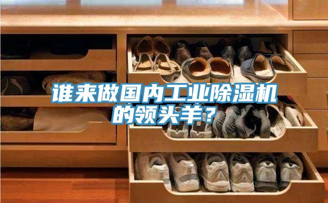 誰來做國(guó)內(nèi)工業(yè)除濕機(jī)的領(lǐng)頭羊？