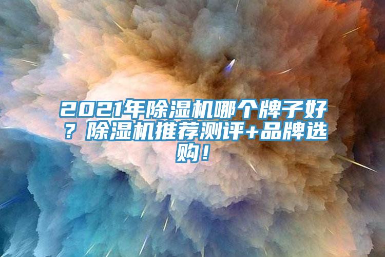 2021年除濕機哪個牌子好？除濕機推薦測評+品牌選購！